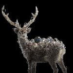 PixCell-Deer#52_03